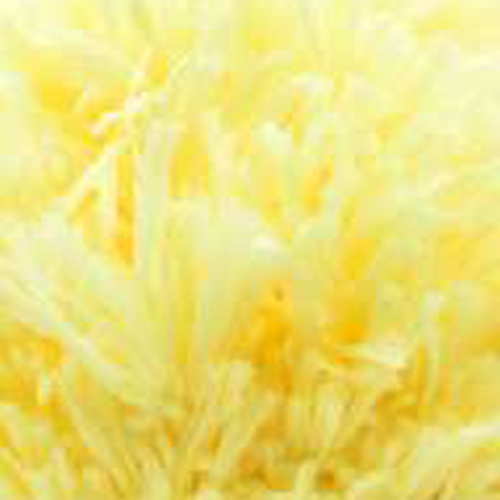 SAMUR,FEATHER SOFT 1116 LİMON SARI