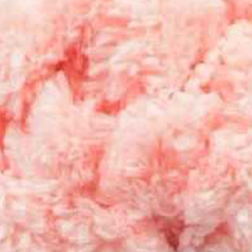SAMUR,POMPOM 1213 SOMON